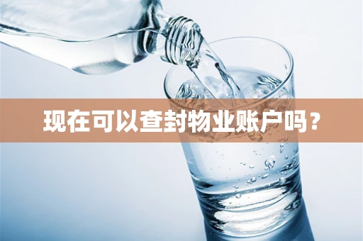 现在可以查封物业账户吗？