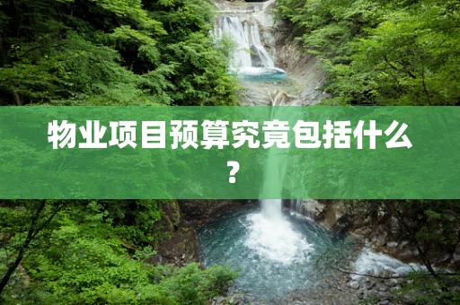 物业项目预算究竟包括什么？