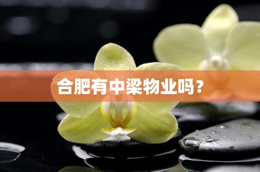 合肥有中梁物业吗？