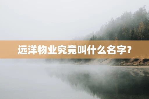 远洋物业究竟叫什么名字？