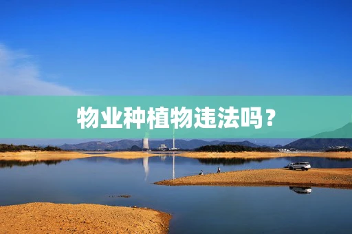 物业种植物违法吗？