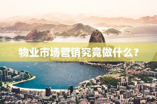 物业市场营销究竟做什么？