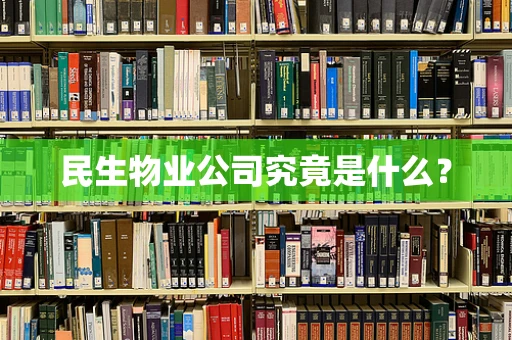 民生物业公司究竟是什么？