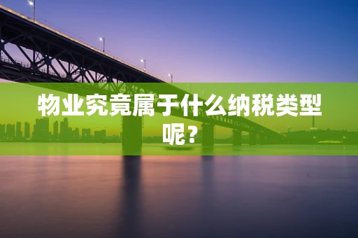 物业究竟属于什么纳税类型呢？