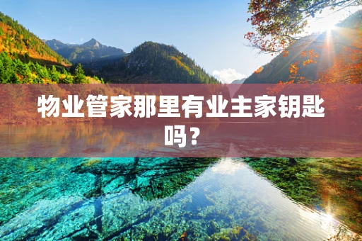 物业管家那里有业主家钥匙吗？