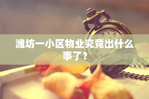 潍坊一小区物业究竟出什么事了？