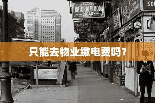 只能去物业缴电费吗？