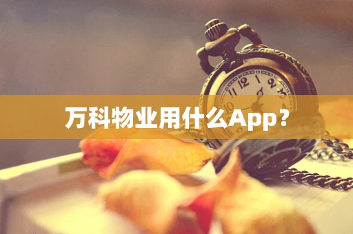万科物业用什么App？