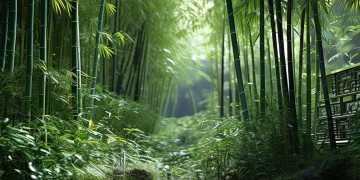 蓝山翠竹苑物业真的可靠吗？