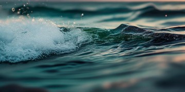 海信慧园物业真的可靠吗？