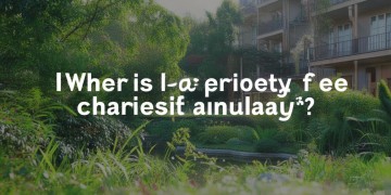 物业费一年在什么时间收费呢？