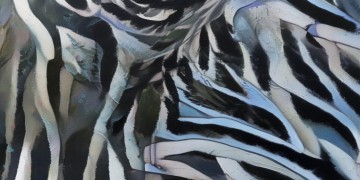 龙湖物业费为什么这么贵？